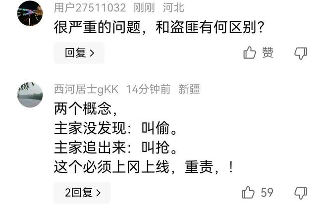 俩男子下乡偷鸡被老人发现，俩男子竟然明抢，监控拍下整个过程