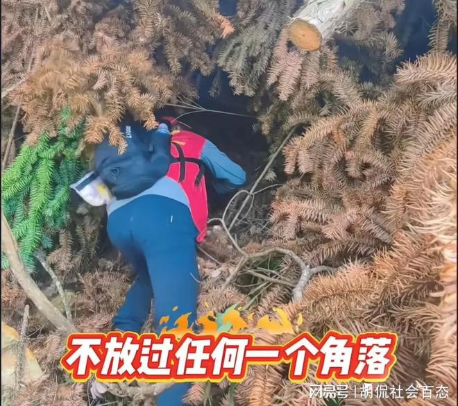 福建男孩已失踪8天，网友的猜测也许成真，其妈妈已经崩溃