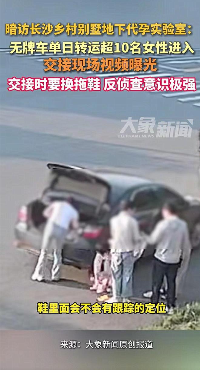 长沙地下代孕“基地”被曝，单日有超10名女性进入，均被取卵