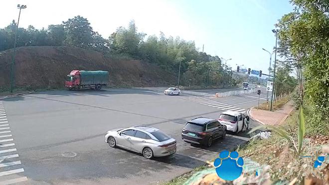 长沙地下代孕“基地”被曝，单日有超10名女性进入，均被取卵