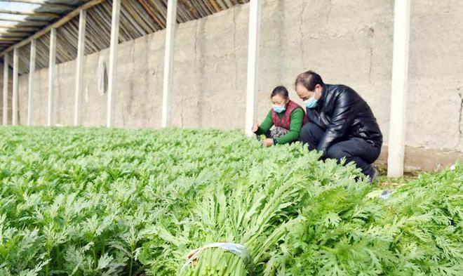 陕西一老汉莫名背上44.9万贷款，签名是假的，驻村干部的操作曝出
